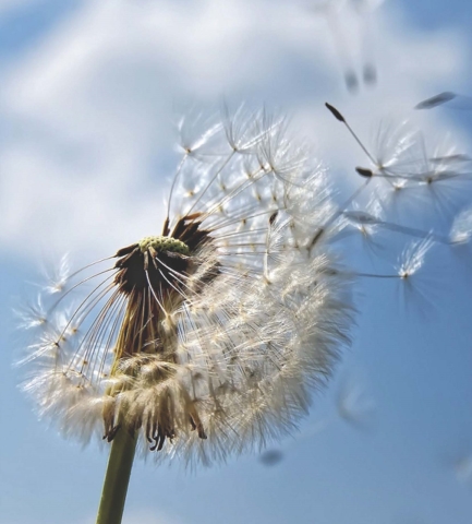 Conferència del SR. OSCAR COROMINAS NOGAL, Executive Coach i Expert en Direcció d’Equips. Sobre el tema: “¿VIUS O SOBREVIUS?” organitzada pel President de l’Associació Professional de Notaris de Catalunya, Sr. Luis Gasch Cabot, amb la col·laboració del Col·legi de Notaris de Catalunya i dirigida especialment als empleats de notaries.