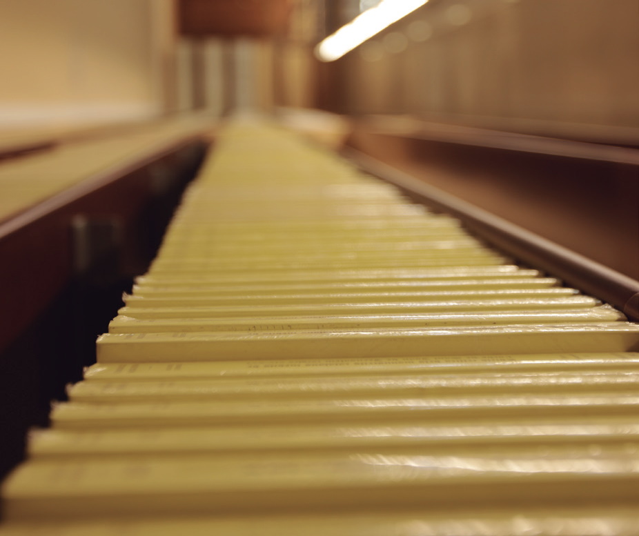 LLIURAMENT DEL PREMI «PUIG SALELLAS” EN LA SEVA ONZENA EDICIÓ A L’HBLE. SR. JOAN EGEA FERNÀNDEZ