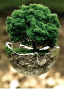 WebiNots – Reforma del procediment de modificació judicial de la capacitat pel Decret Llei 19/2021.