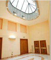 XV Premi «Puig Salellas»