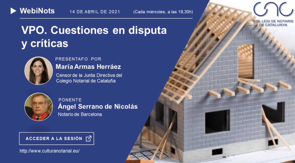 VPO. Cuestiones en disputa y críticas