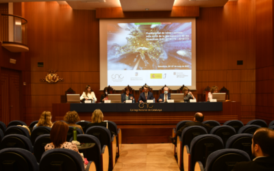 El Col·legi Notarial de Catalunya acull una jornada sobre la nova regulació en defensa dels drets dels consumidors